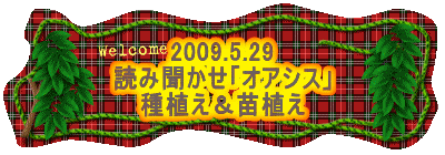 2009.5.29
ǂݕuIAVXv
AcA
